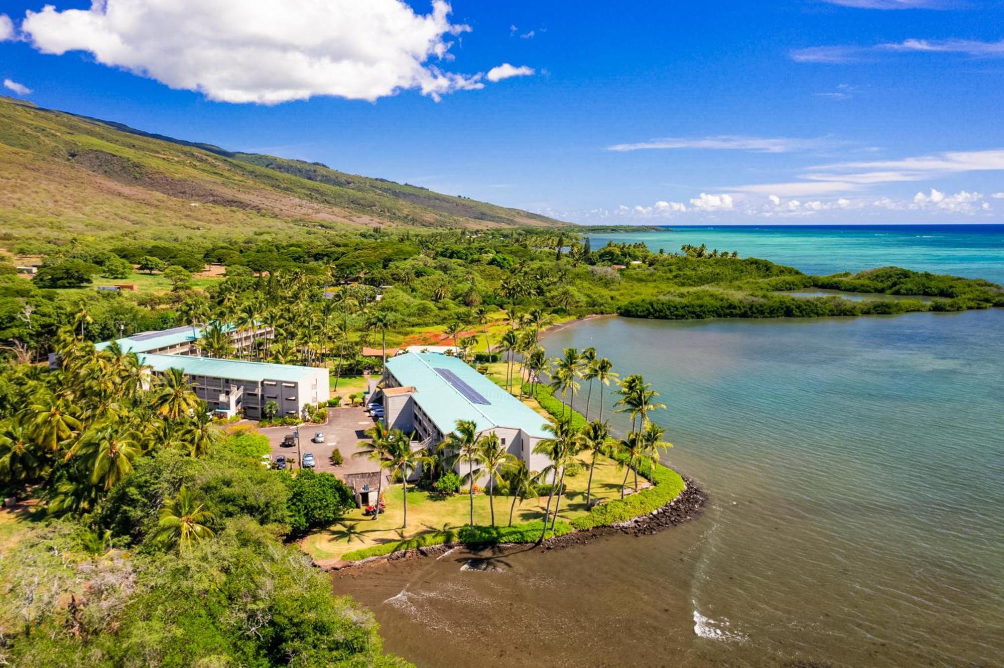 Апартаменты Wavecrest Каункакай Номер фото