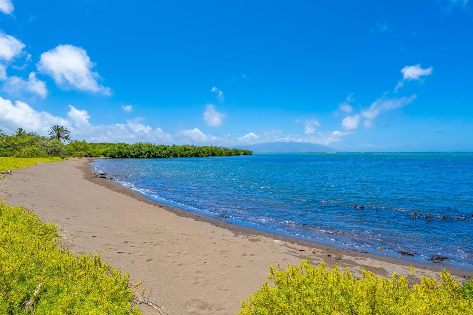 Апартаменты Wavecrest Каункакай Номер фото