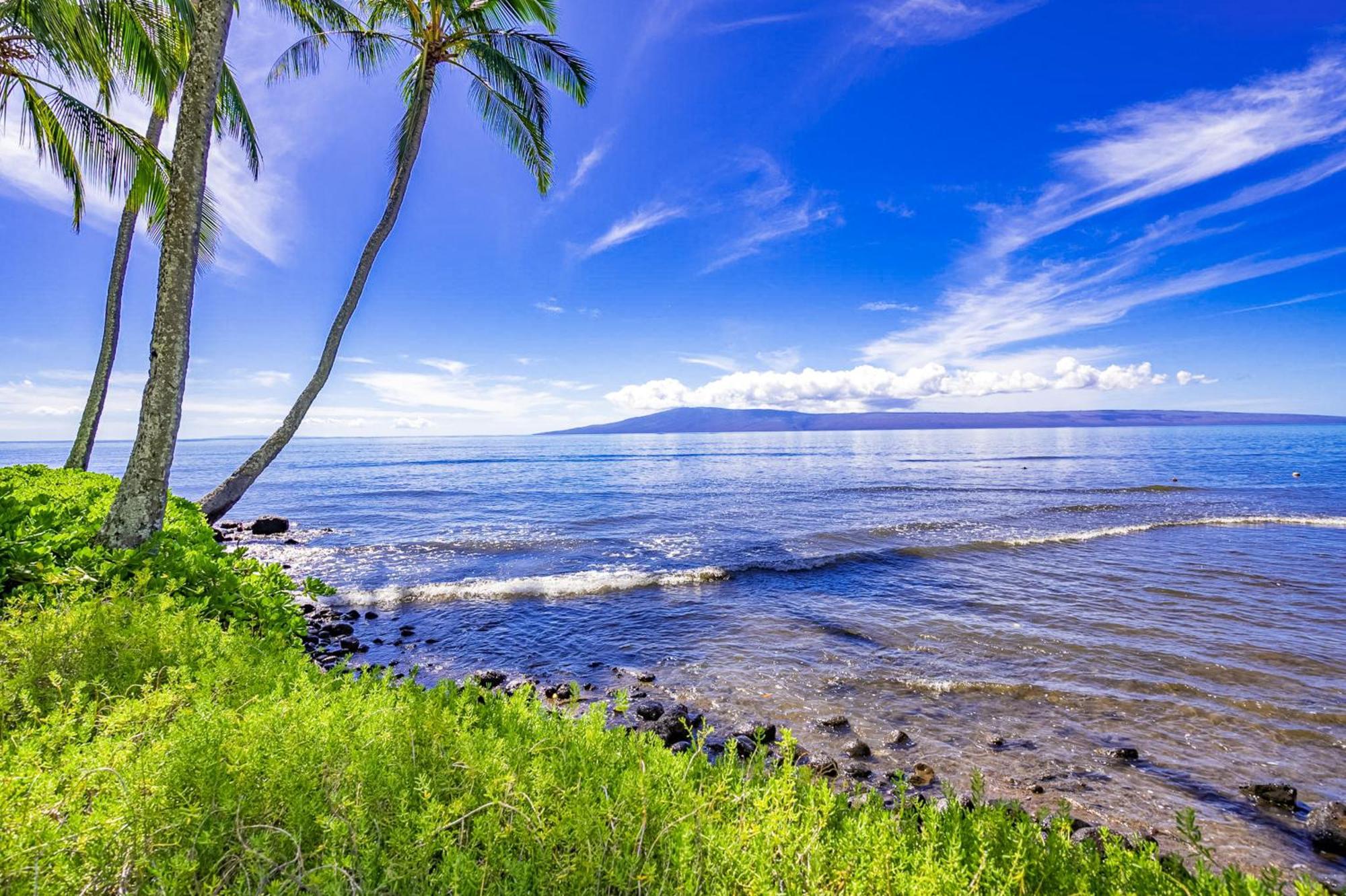 Апартаменты Wavecrest Каункакай Номер фото