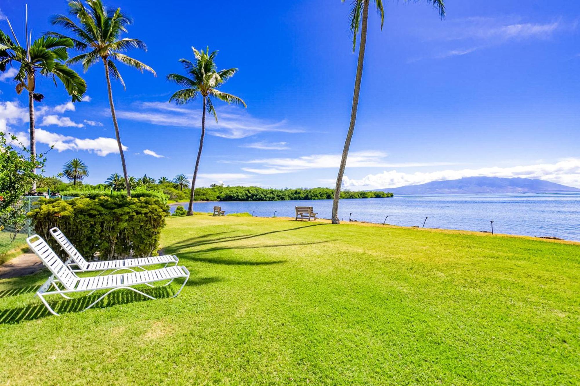 Апартаменты Wavecrest Каункакай Номер фото